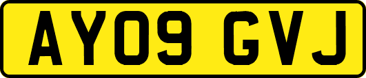 AY09GVJ