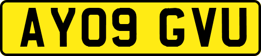 AY09GVU