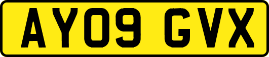 AY09GVX