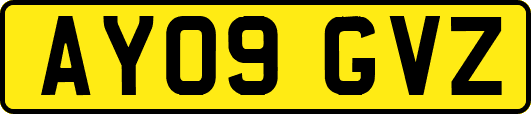 AY09GVZ
