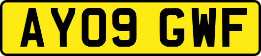 AY09GWF