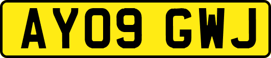 AY09GWJ