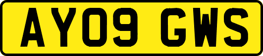AY09GWS