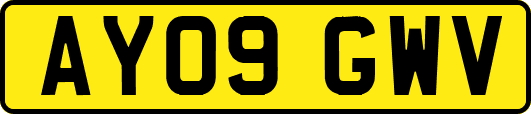 AY09GWV