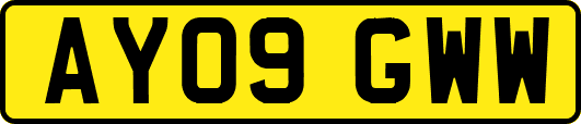 AY09GWW