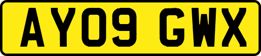 AY09GWX
