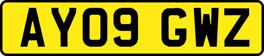 AY09GWZ