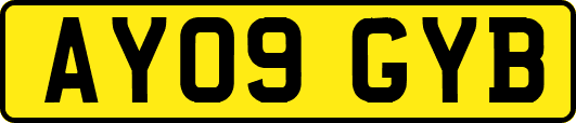 AY09GYB