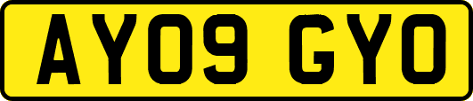 AY09GYO