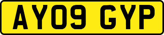 AY09GYP