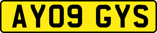 AY09GYS