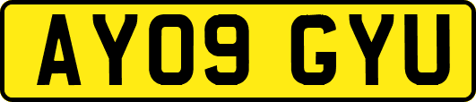 AY09GYU