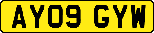 AY09GYW