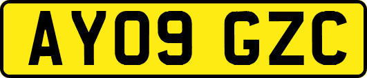 AY09GZC