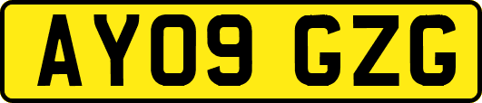 AY09GZG