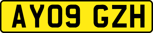 AY09GZH
