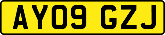 AY09GZJ