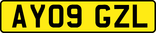 AY09GZL