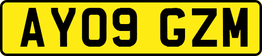 AY09GZM