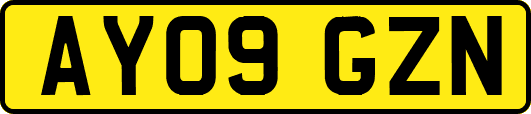 AY09GZN