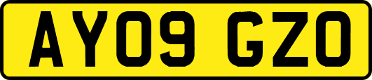 AY09GZO