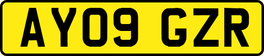 AY09GZR