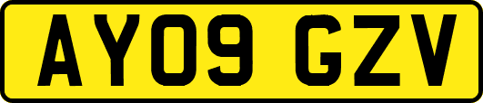 AY09GZV