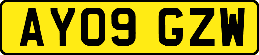 AY09GZW