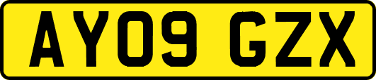 AY09GZX