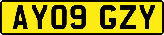 AY09GZY