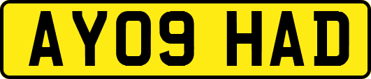 AY09HAD