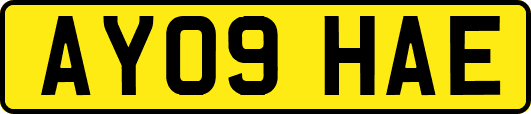 AY09HAE