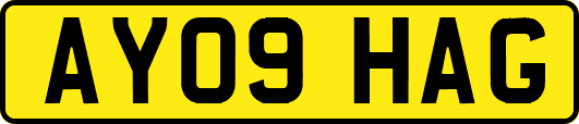 AY09HAG