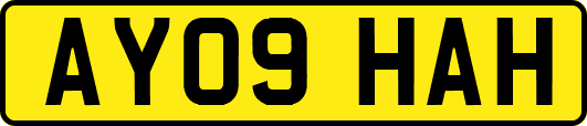 AY09HAH