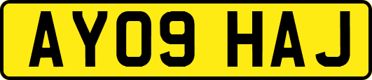 AY09HAJ