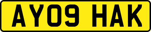 AY09HAK