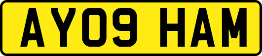 AY09HAM