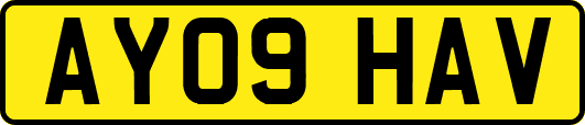 AY09HAV