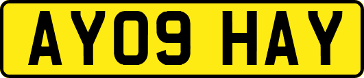 AY09HAY
