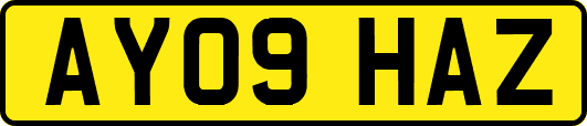 AY09HAZ