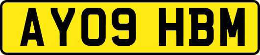 AY09HBM