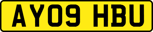 AY09HBU