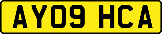 AY09HCA