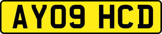 AY09HCD