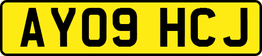 AY09HCJ