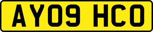 AY09HCO