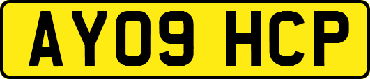 AY09HCP