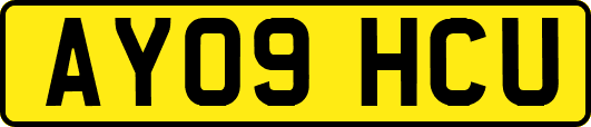 AY09HCU