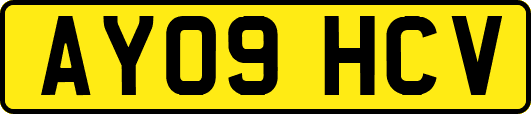 AY09HCV