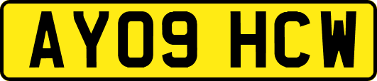 AY09HCW